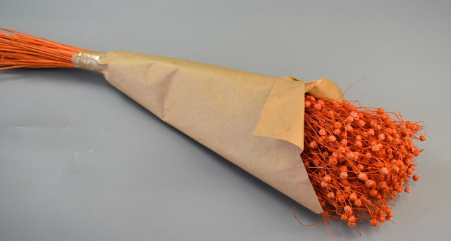 Image for In 100g inalbit portocaliu