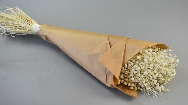 Image for In 100gr inalbit