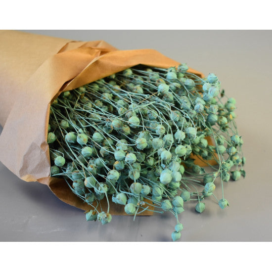 In 100gr vopsit aqua in hartie