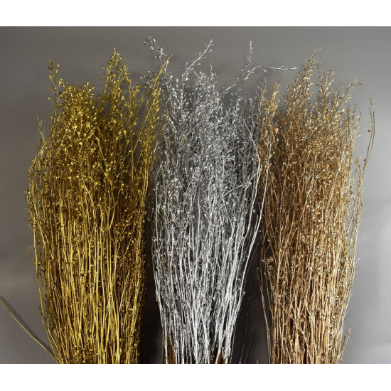 Lepidium atraxa 100gr auriu