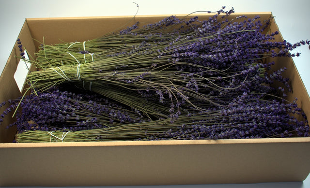 Image for Leventica engleza preparat 1.5kg