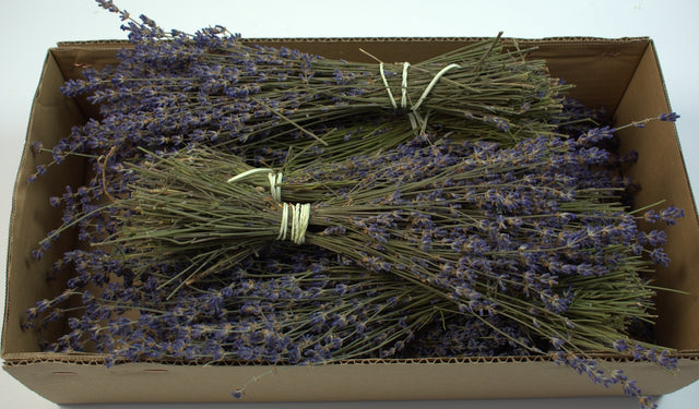 Image for Levantica franceza 1.2kg