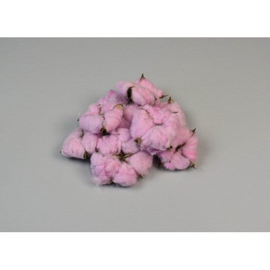 Flori de bumbac special mov deschis