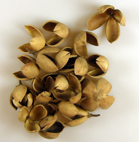 Image for Lili natur