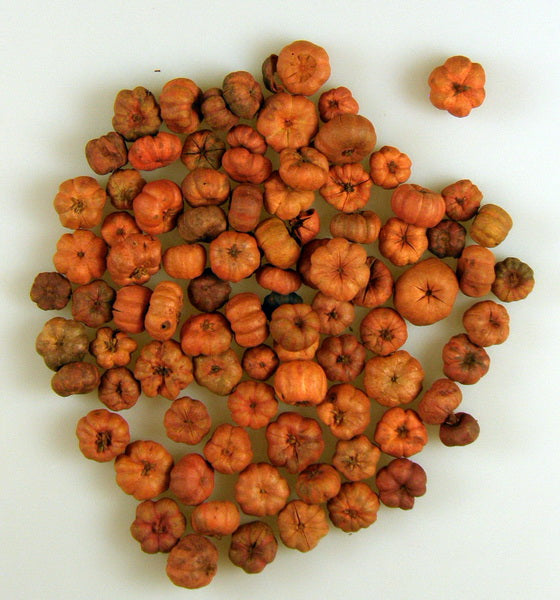 Image for Bostanei mini portocaliu