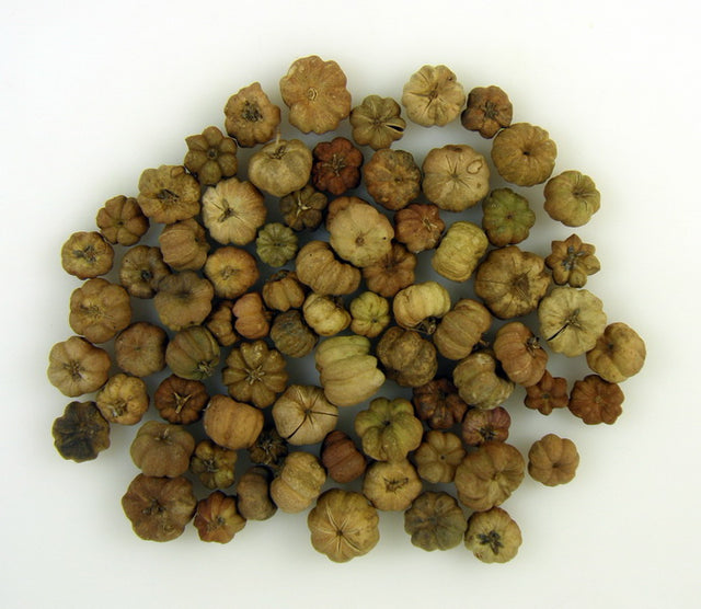 Image for Bostanei mini natur