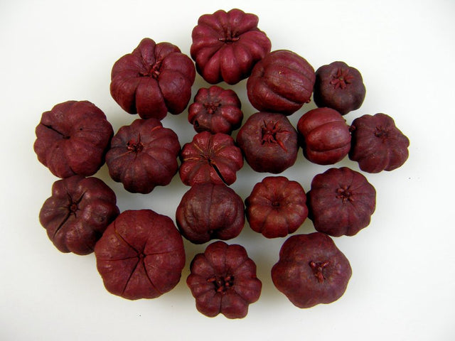 Image for Bostanei mini rosu