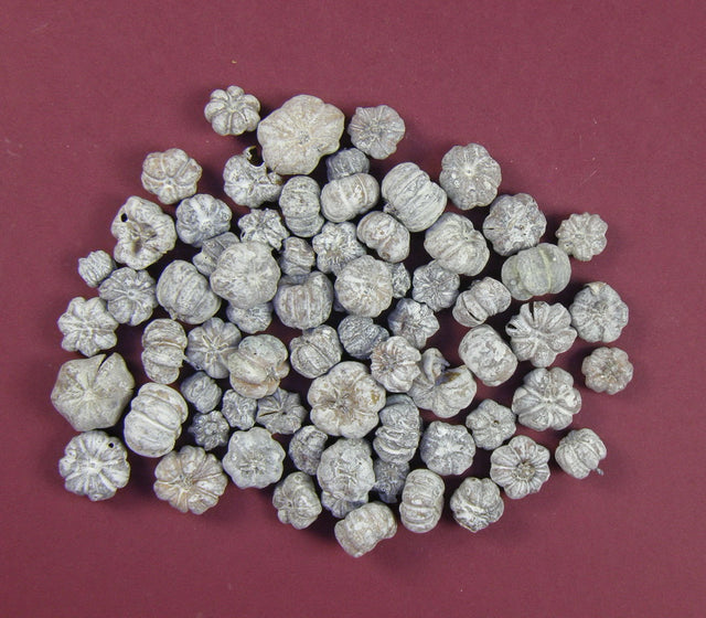 Image for Bostanei mini cu chiciura