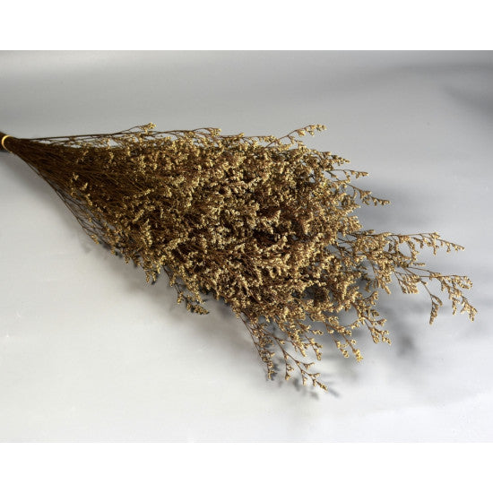 Limonium sinensis preparat alb