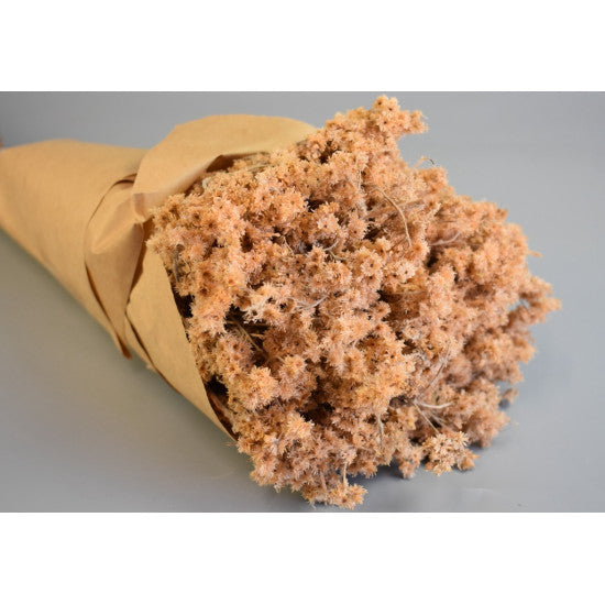 Limonium 80gr in hartie piersica