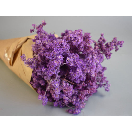 Limonium 80gr in hartie mov deschis