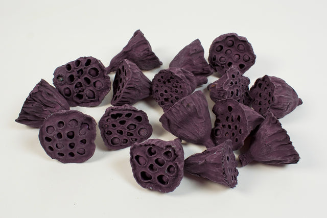 Image for Lotus mic 4-6cm vopsit mure