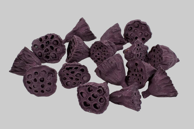 Image for Lotus mic 4-6cm vopsit mure