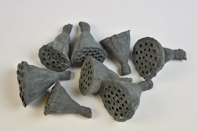 Image for Lotus mini vopsit albastru inchis