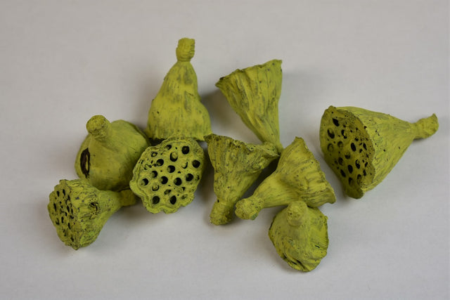 Image for Lotus mini vopsit verde oliv