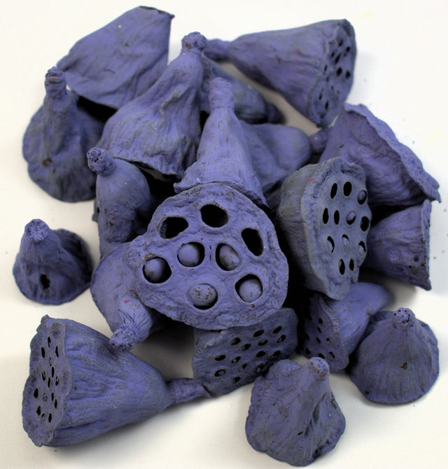 Image for Lotus mini vopsit very pery