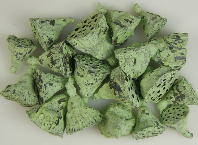 Image for Lotus mini vopsit verde deschis