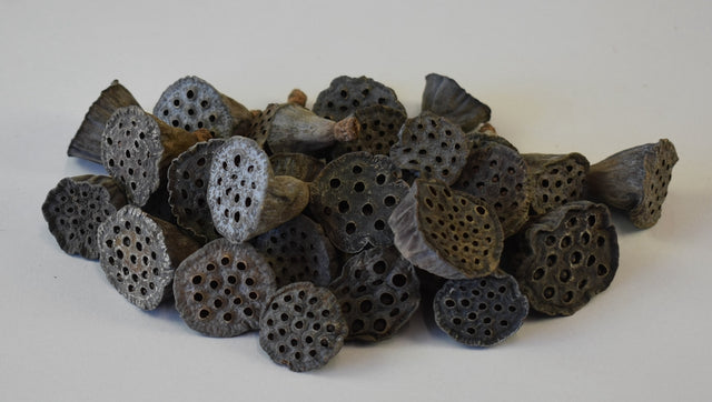 Image for Lotus mini natur