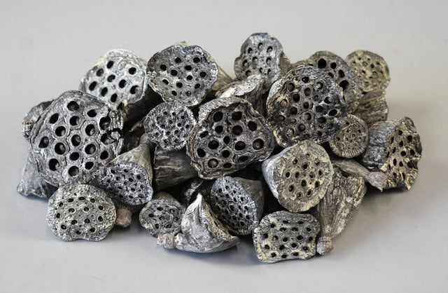 Image for Lotus mini cu chiciura