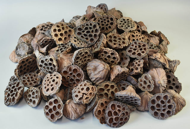 Image for Lotus mixt natur 1kg