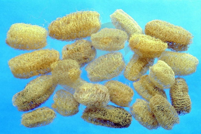 Image for Luffa 8-10cm natur