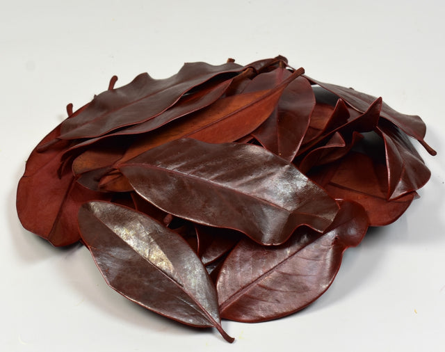 Image for Frunze de magnolie prep.portocaliu