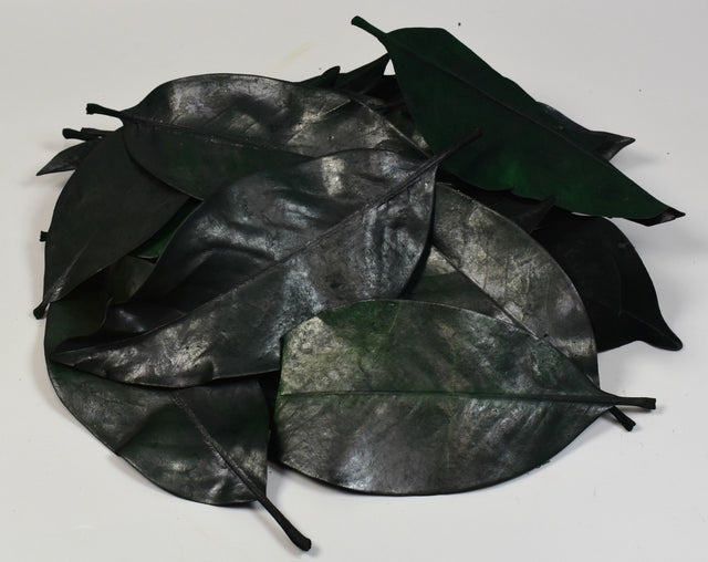 Image for Frunze de magnolie prep. verde inchis