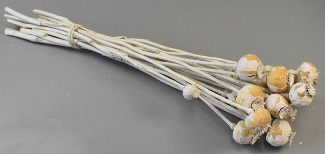 Image for Mac mijlociu vopsit alb