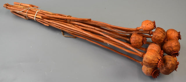 imagine produs Mac mijlociu portocaliu