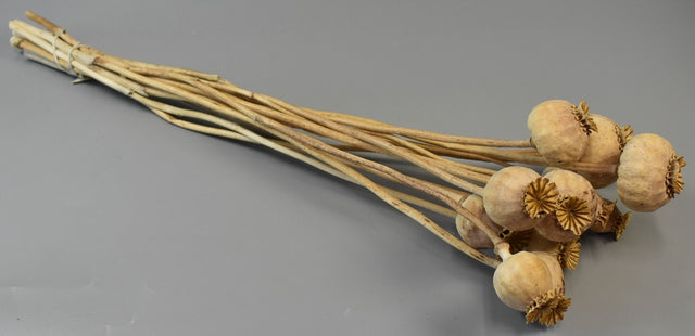 Image for MAC MIJLOCIU NATUR