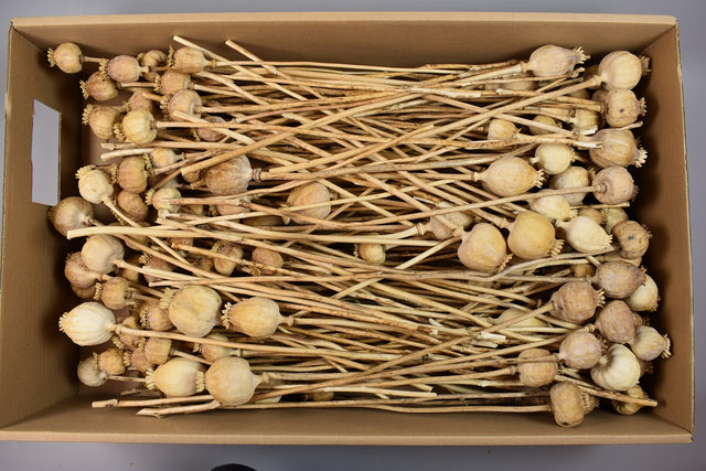 Image for Mac mijlociu natur 0.6kg