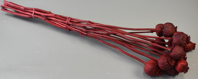 Image for Mac mijlociu rosu