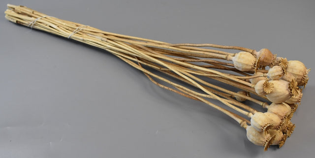 Image for Mac mini natur