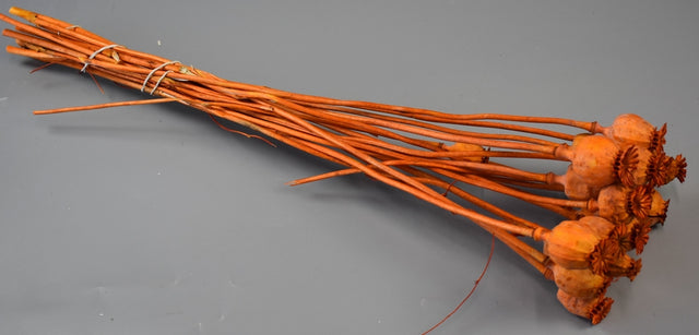 Image for Mac mini inalbit portocaliu