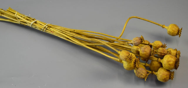 Image for Mac mini galben