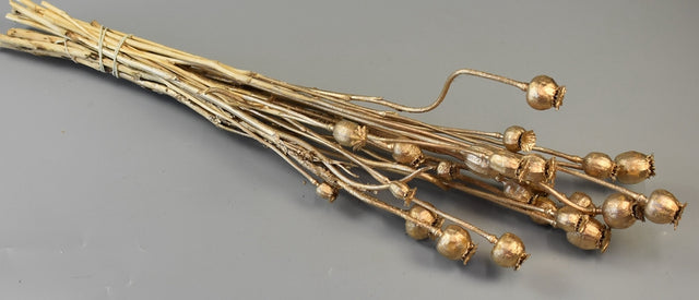 Image for Mac mini cul.sampanie