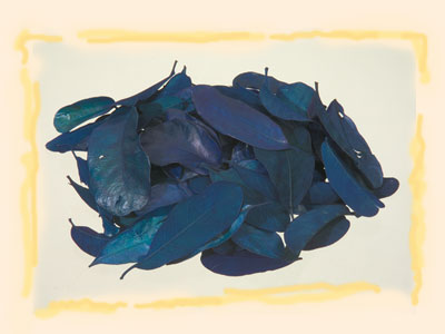 Image for Frunze mandioca albastru