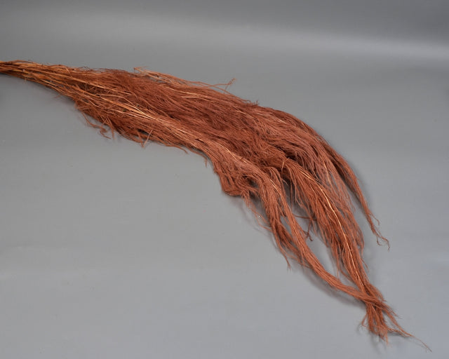 Image for Medulla junci inalbit cappucino