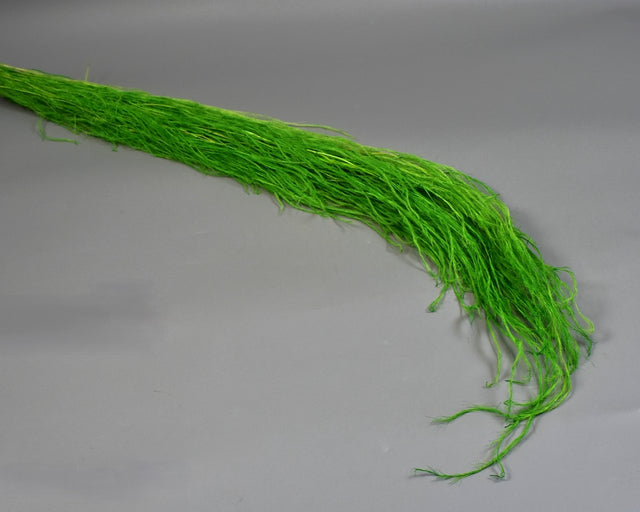 Image for Medulla junci Inalbit verde deschis