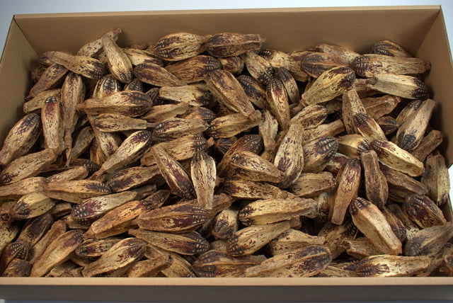 Image for Mehogany natur 260buc.