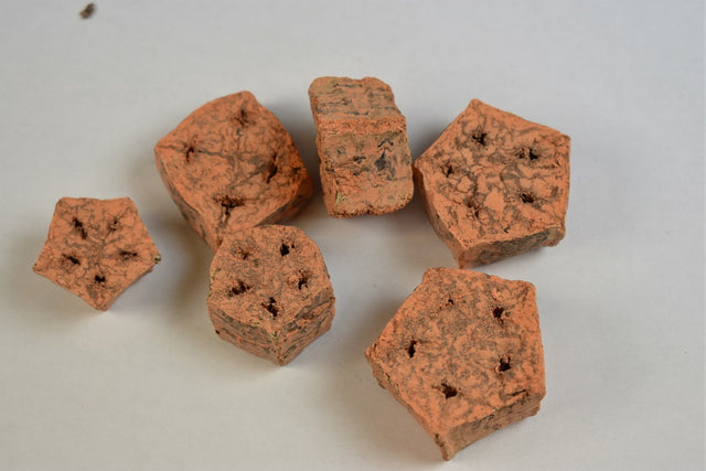 Image for Felii de mehogany vopsit portocaliu