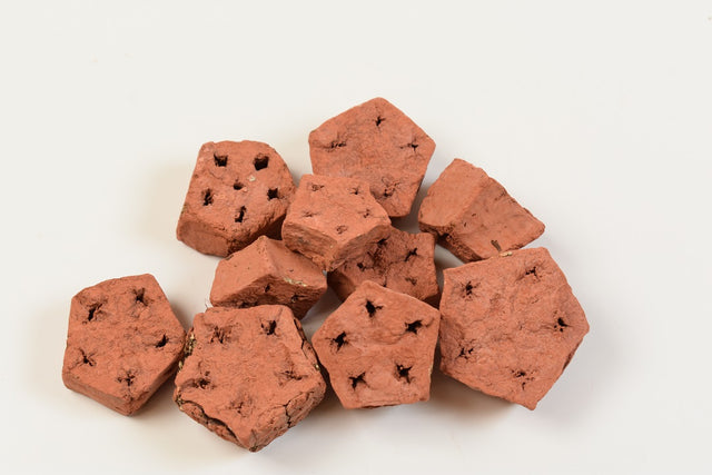 Image for Felii de mehogany vopsit teracota