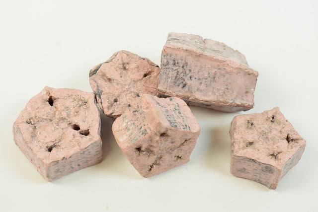 Image for Felii de mehogany cerat roz