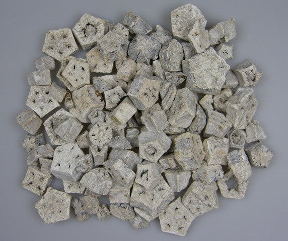 Image for Felii de mehogany cu chiciura