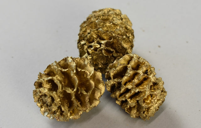 Image for Meridianum auriu