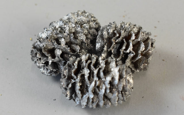 Image for Meridianum argintiu