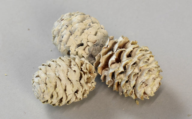 Image for Meridianum vopsit alb