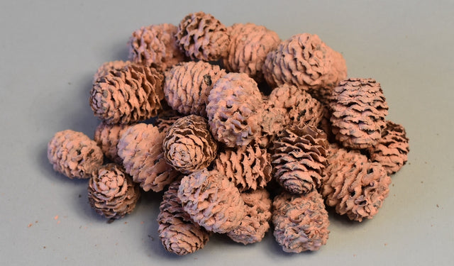 Image for Meridianum vopsit somon