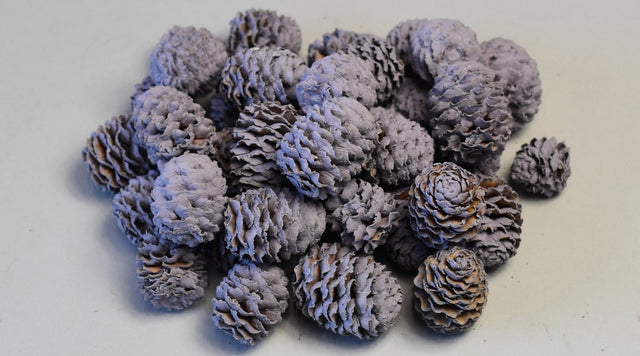 Image for Meridianum vopsit mov