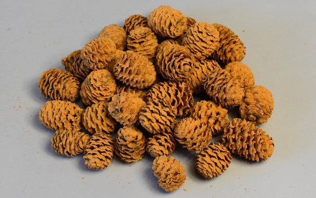 Image for Meridianum vopsit portocaliu